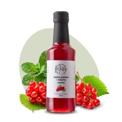 Ribizliszörp + Menta (rostos) 0,2 L